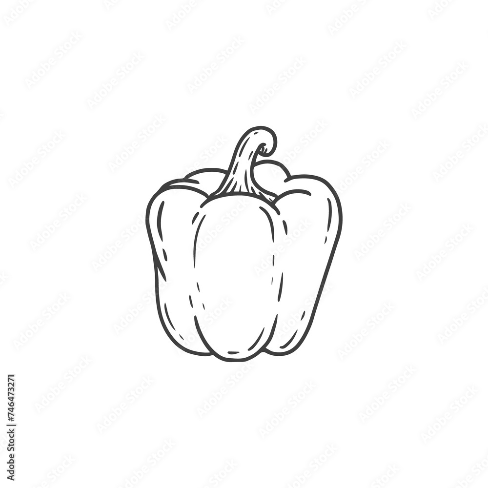bell pepper illustration in doodle style. Hand drawn Bulgarian pepper. Fresh vegetable isolated on white background. Sketch. bell pepper illustration in doodle style. Hand drawn Bulgarian pepper. Fresh vegetable isolated on white background. Sketch.