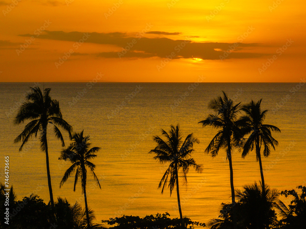 Cloudy sunset over the sea. Coconut trees in Santa Fe, Tablas, Romblon. Philippines.