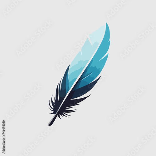 Colorful feather illustration 