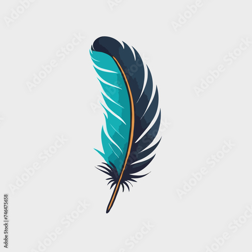 Colorful feather illustration
