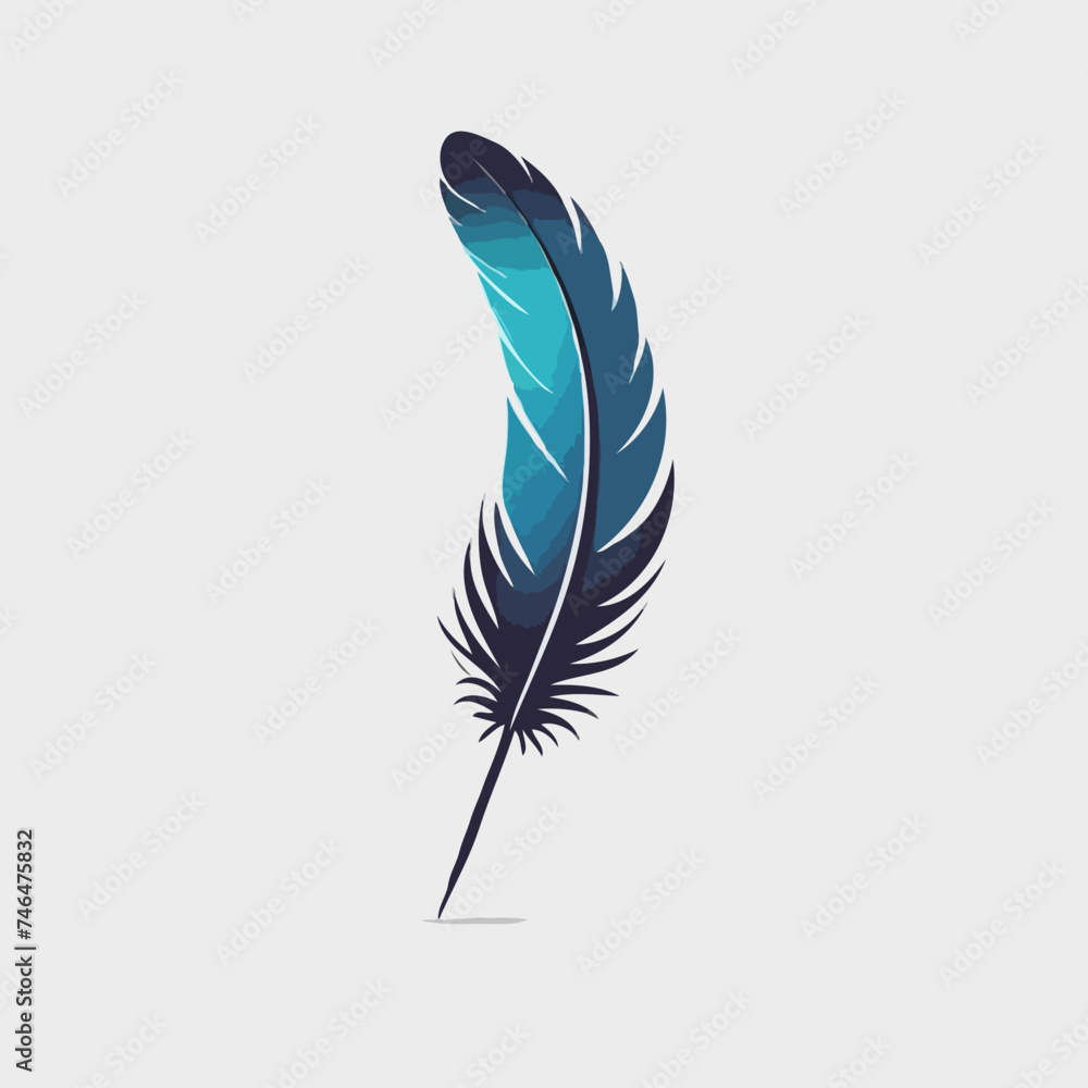 Colorful feather illustration
