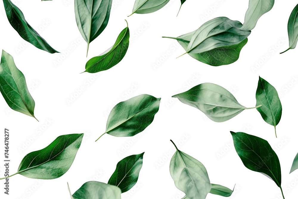 Green leaves suspended in mid-air. Isolated on a transparent background.