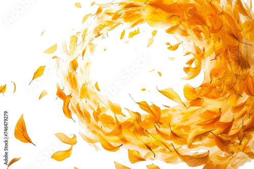 swirling array of golden autumn leaves isolated on transparent background
