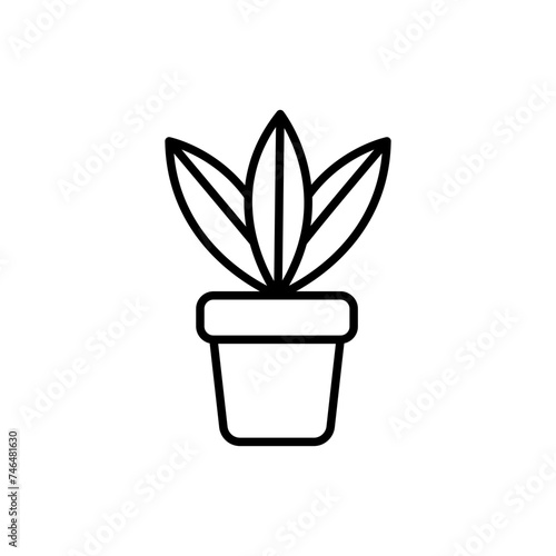 House plant outline icons, minimalist vector illustration ,simple transparent graphic element .Isolated on white background