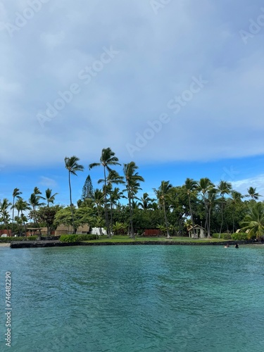 A small island sits atop the emerald sea  densely populated with palm trees. The sky is filled with grey clouds.