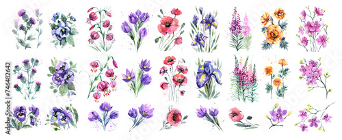 A large set of floral watercolor illustrations. Poppies, lilies, violets, snowdrops on a white background. Watercolor drawings by hand for design, packaging photo