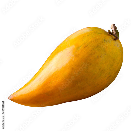 Eggfruit or canistel (Pouteria campechiana)