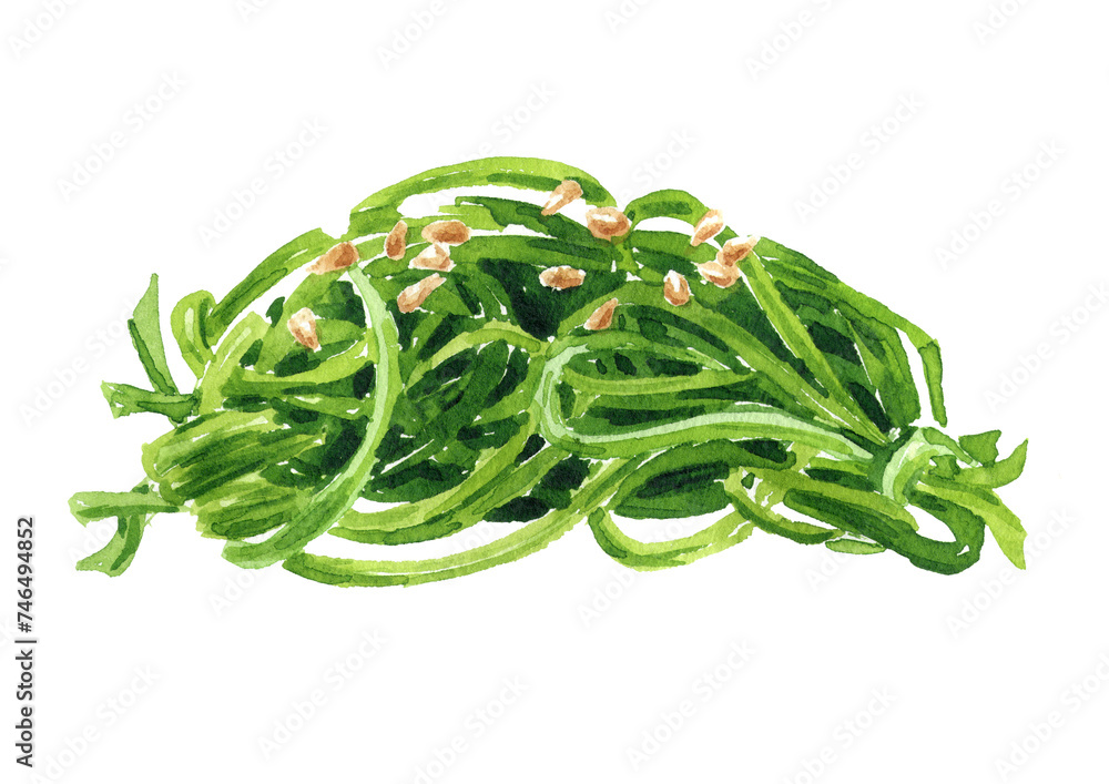 Edible Green Algae, Green Chuka Seaweed Salad. Hand drawn watercolor illustration isolated on white background Edible Green Algae, Green Chuka Seaweed Salad. Hand drawn watercolor illustration isolated on white background