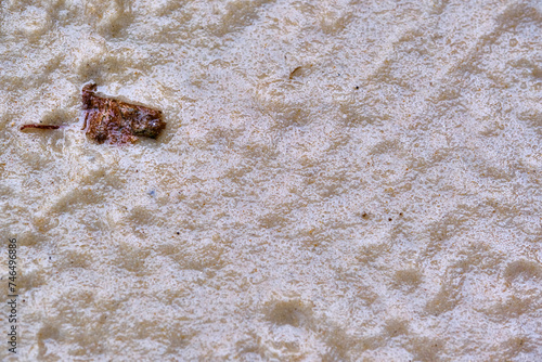 The texture of wet sand. Close-up, top view. color nature photo