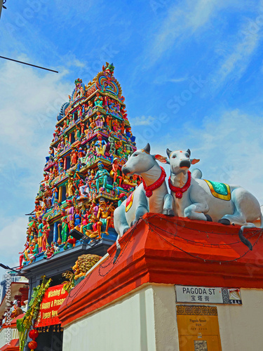 Canvas Print singapore, little, india, travel, asia, downtown, city