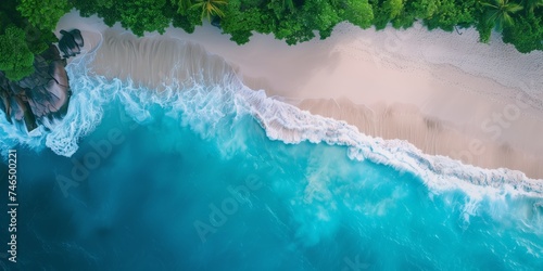 Aerial view of serene tropical beach with lush foliage