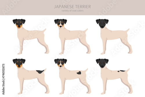 Japanese terrier clipart. Different poses, coat colors set
