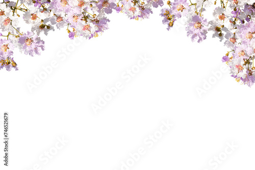 Lilac flowers frame isolated