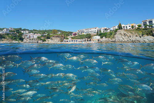 Spain touristic town on the Mediterranean coast seen from sea surface with a school of fish underwater, natural scene, split view half over and under water, Calella de Palafrugell, Costa brava