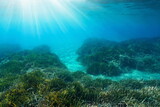 Sunlight underwater on a seabed with seagrass and sand in the Mediterranean sea, natural scene, Costa Brava, Spain