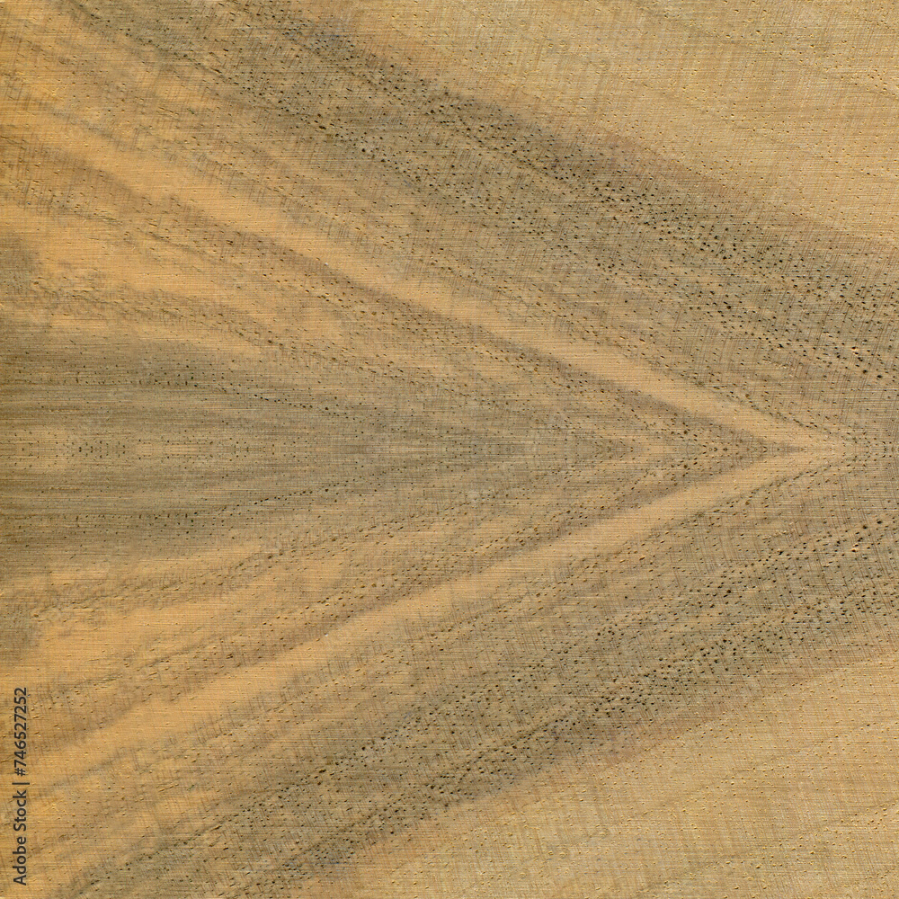 Walnut wood, can be used as background, wood grain texture Walnut wood, can be used as background, wood grain texture