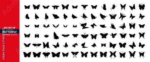 butterfly set, butterfly icon