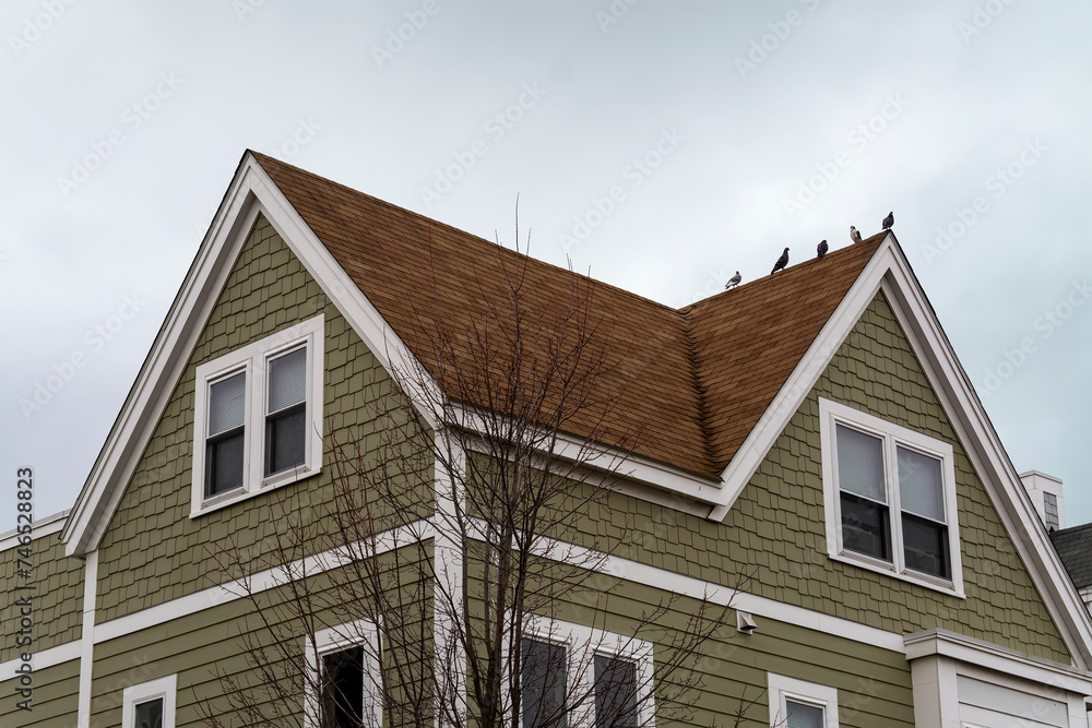 Newly built single-family house with birds on the roof ridge on a winter day, Boston, MA, USA