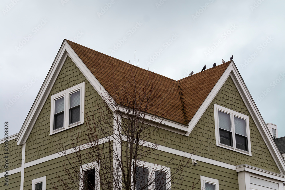 Newly built single-family house with birds on the roof ridge on a winter day, Brighton, MA, USA Newly built single-family house with birds on the roof ridge on a winter day, Brighton, MA, USA