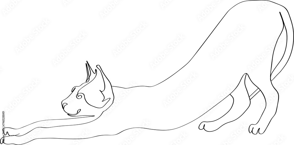 Continuous one line drawing of cat- kitten. Black line cat stretch oneself on white background Continuous one line drawing of cat- kitten. Black line cat stretch oneself on white background