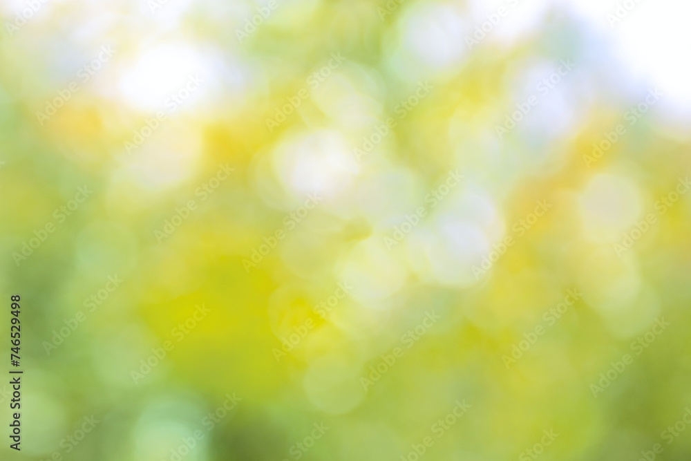Bright yellow green blurred sparkling garden bokeh background