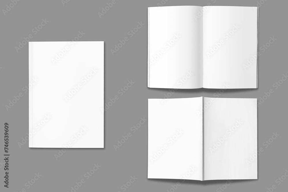 Empty blank glossy magazine open and closed mockup isolated. 3d rendering. ready for cover and spread of the magazine design. Front and back cover, inside pages design. Empty blank glossy magazine open and closed mockup isolated. 3d rendering. ready for cover and spread of the magazine design. Front and back cover, inside pages design.