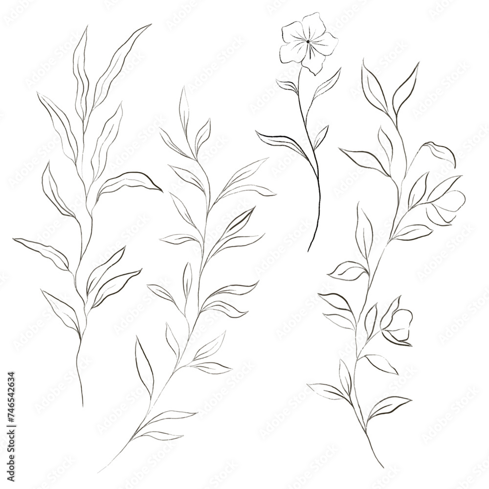 Line art of flowers and plants Line art of flowers and plants