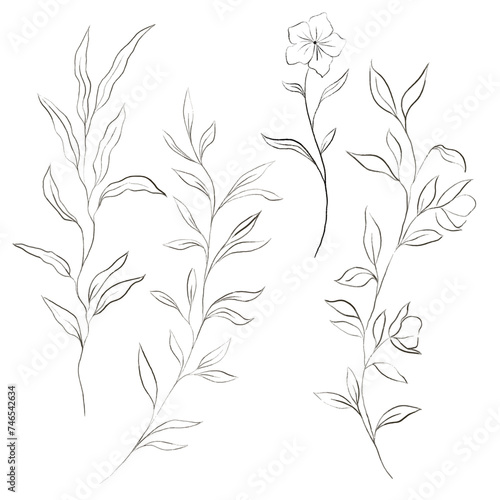Line art of flowers and plants