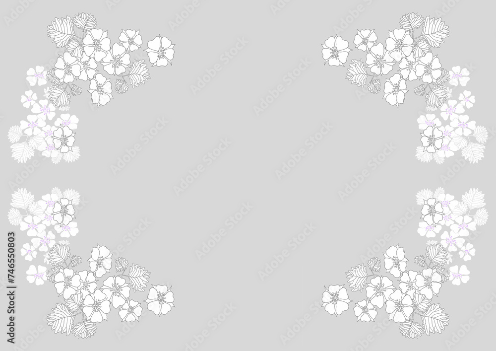 White wild strawberry flower frame pastel color style