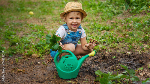 a child plants strawberries in the garden. Selective focus.
