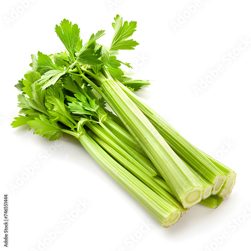 Stick of celery isolated on white background