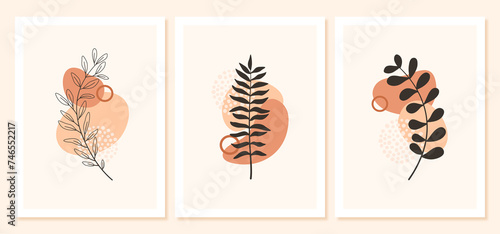 wall art vector set. Foliage line art drawing with abstract shape. Abstract Plant Art design for print