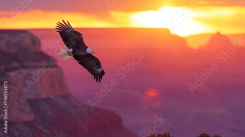An eagle glides over the canyon at sunset, its grace and power captured in front of the dramatic backdrop of the fading sun