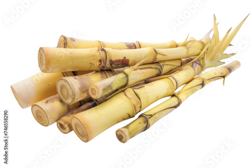 Bamboo Shoots isolated on transparent background