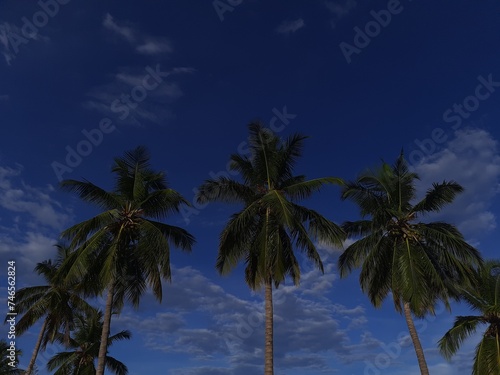 A group of coconut trees with a blue sky in the background.