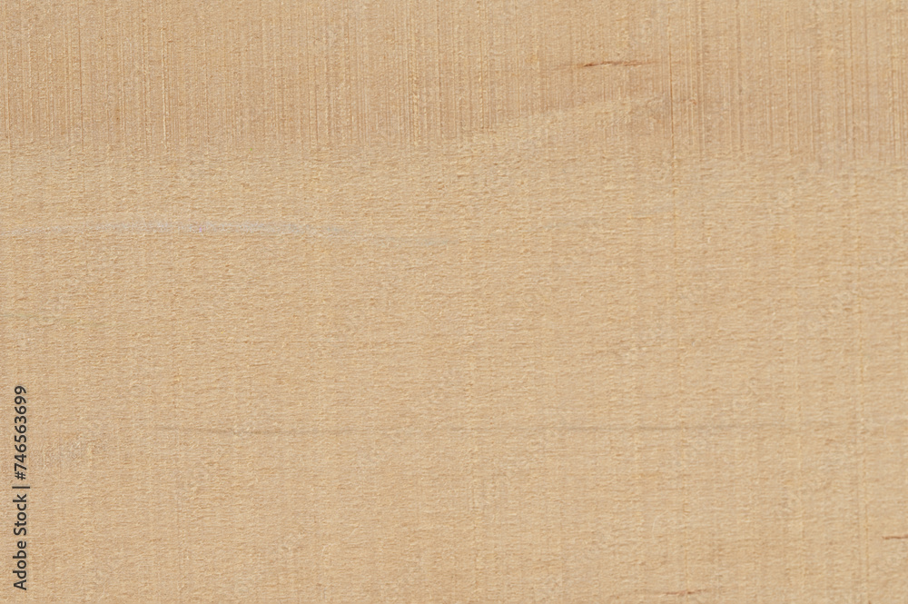 Fototapeta premium Beige color wood fiber