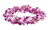 Adorning with Orchid Leis in Hawaiian Culture On Transparent Background.