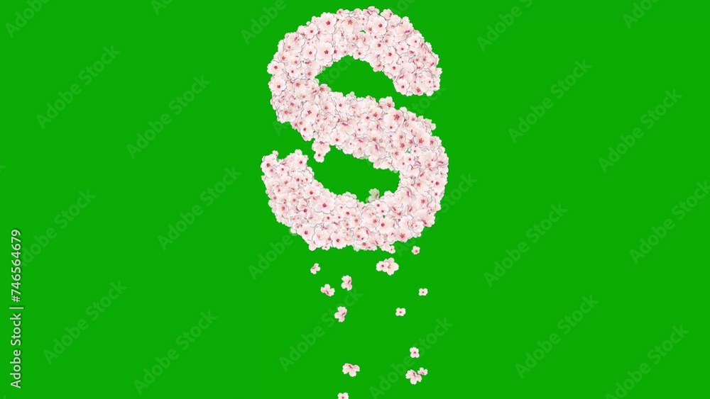 English alphabet S with cherry flowers on green screen background English alphabet S with cherry flowers on green screen background