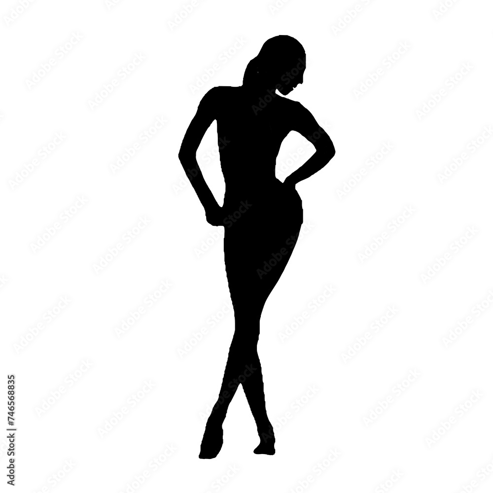 Full body silhouette of a beautiful woman is in style with a transparent background Full body silhouette of a beautiful woman is in style with a transparent background