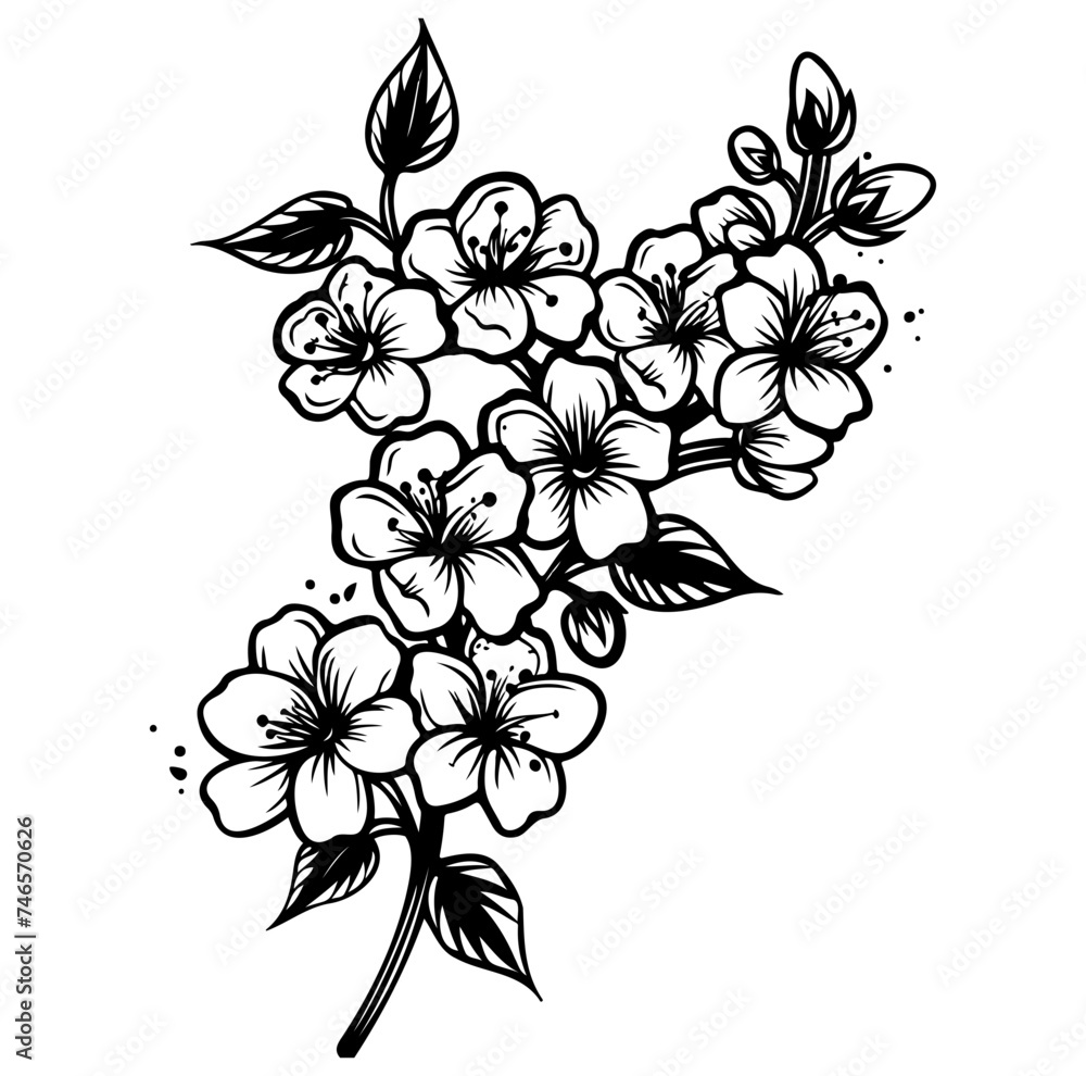 blossoming sakura branch vector illustration blossoming sakura branch vector illustration