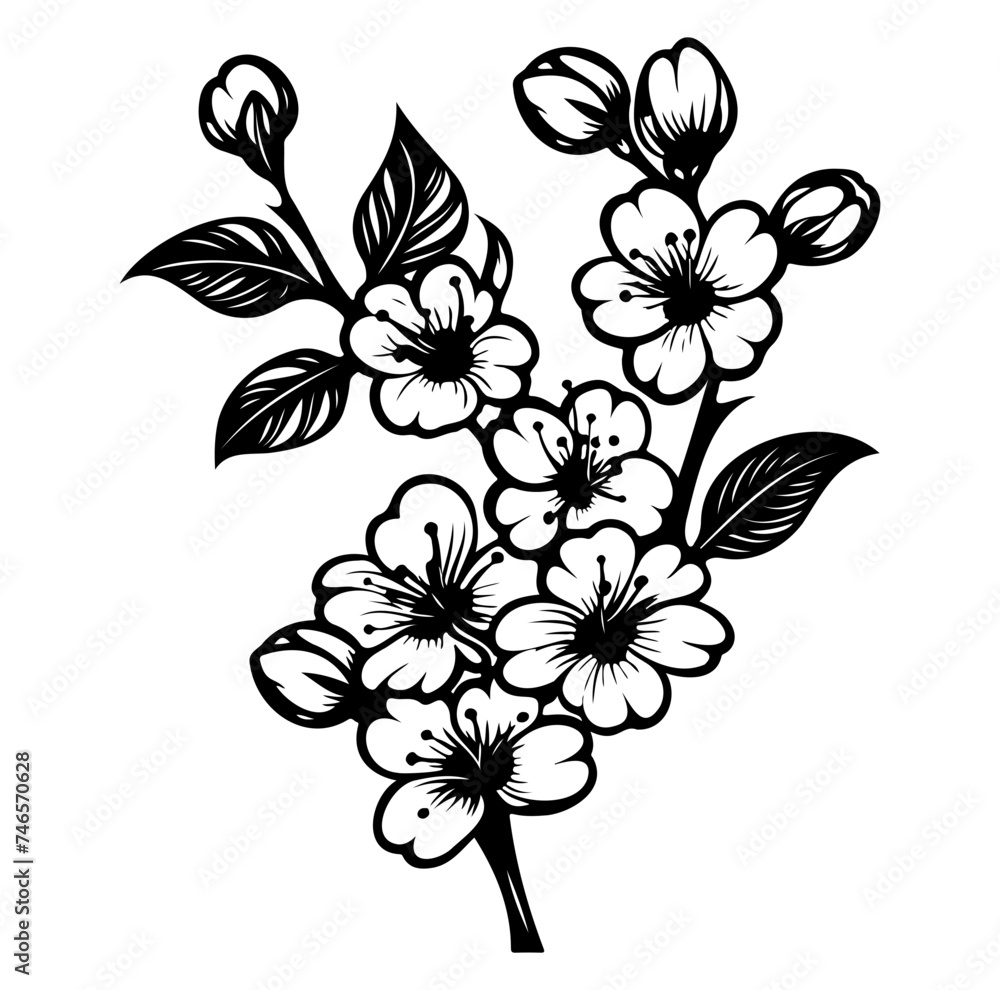 blossoming sakura branch vector illustration
