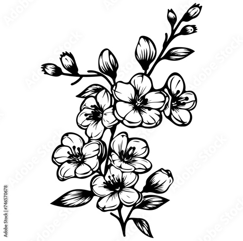 blossoming sakura branch vector illustration