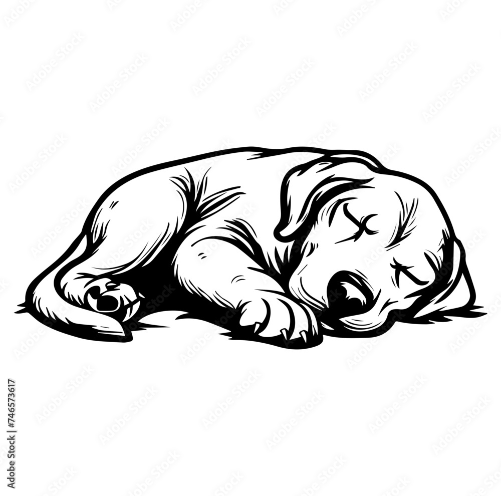 sleeping Labrador Retriever illustration