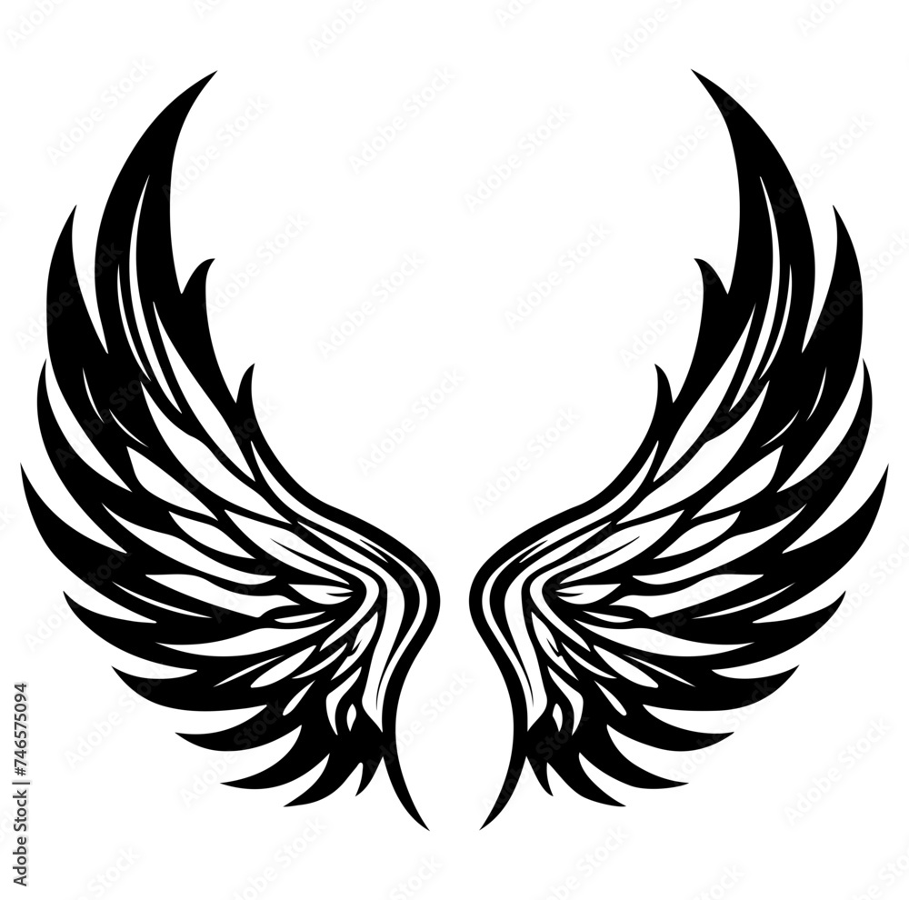 Obraz premium two Vintage angel wings