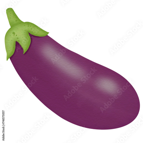 Eggplant, hand drawn, watercolor