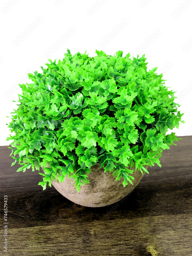 Decorative flowers isolated on transparent background. Decorative flowers isolated on transparent background.