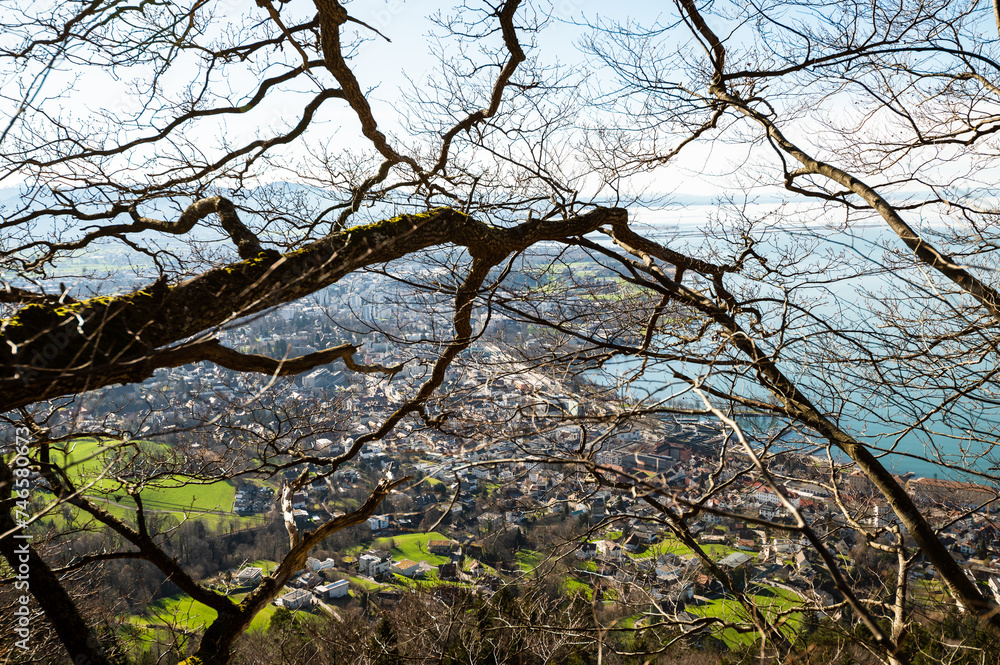 Bregenz spring and Lake Constance from Mount Pfender through tree branches Bregenz spring and Lake Constance from Mount Pfender through tree branches