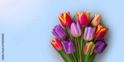 Colorful tulips flowers on light blue background. Floral banner. Greeting card, Valentines day, 8 march, Womens day, Mothers day, top view