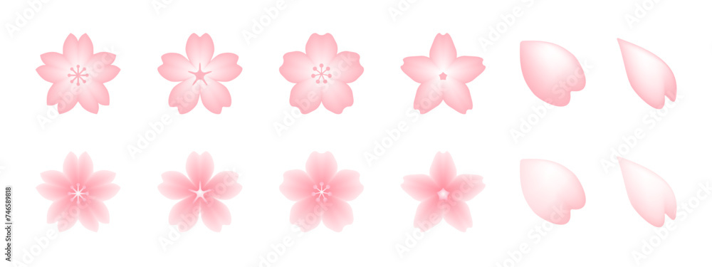 Cute pink Japanese cherry blossoms, stylish spring cherry blossom petals, vector icon illustration material set