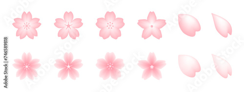 Cute pink Japanese cherry blossoms, stylish spring cherry blossom petals, vector icon illustration material set
